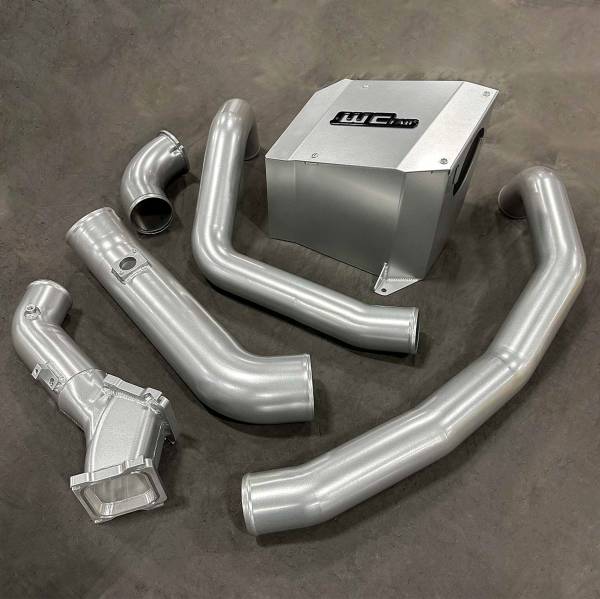 Bengal Silver with Gloss Black tags