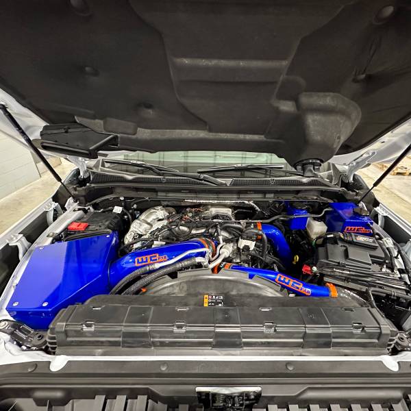 Illusion Blueberry with Sparkle Bomber Orange tags