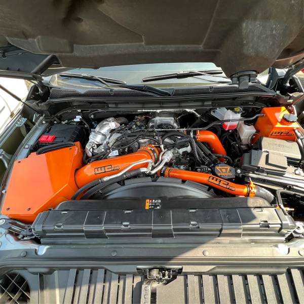 Illusion Orange with Gloss Black tags