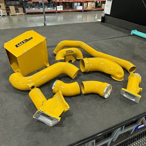 Cat Yellow with Gloss Black tags