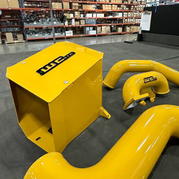 Cat Yellow with Gloss Black tags