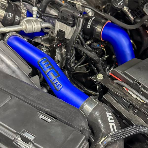 Blueberry Frost with Flat Black tags