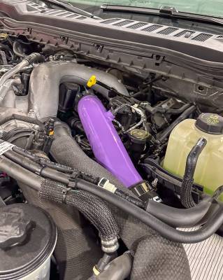 Wild Lilac (Custom Color)