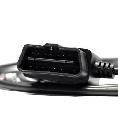 Calibrated Power - 2.8 LWN Duramax (SOTF) DSP4 Switch - Image 2